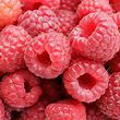 Tasty English Raspberries